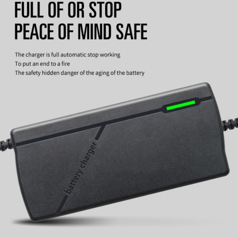 เครื่องชาร์จแบตเตอรี่ชนิดกรดตะ - Electric Scooter Charger บทวิจารณ์และราคา